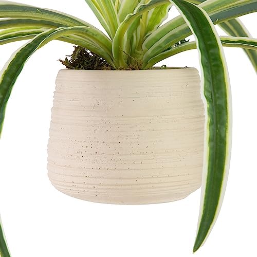 Northlight Artificial Spider Plant in Beige Ceramic Pot 20 Inch