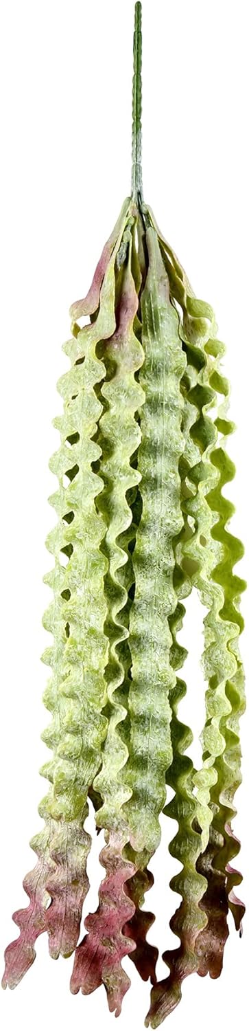 Vickerman Artificial Green Seatangle Plant 22 Inch 2 Pack