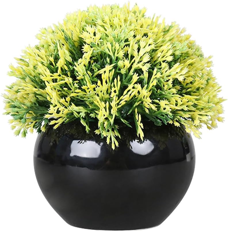 Small Potted Boxwood Topiary with Black Ceramic Pot