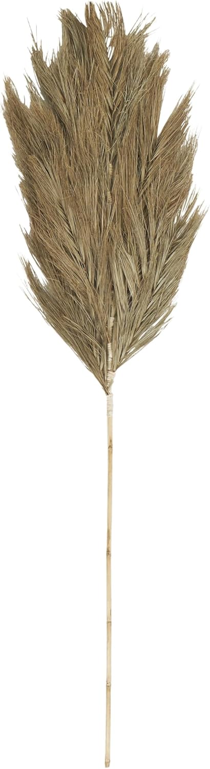 Deco 79 Dried Palm Leaf Decor Natural Foliage