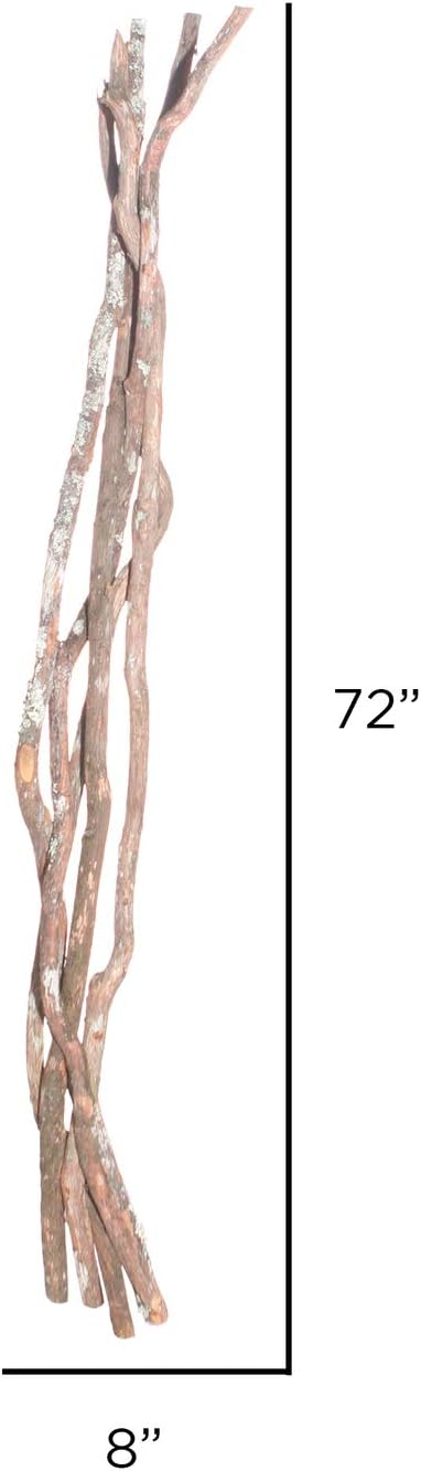 Vickerman Natural Dragonwood Pole Set for Home Decor