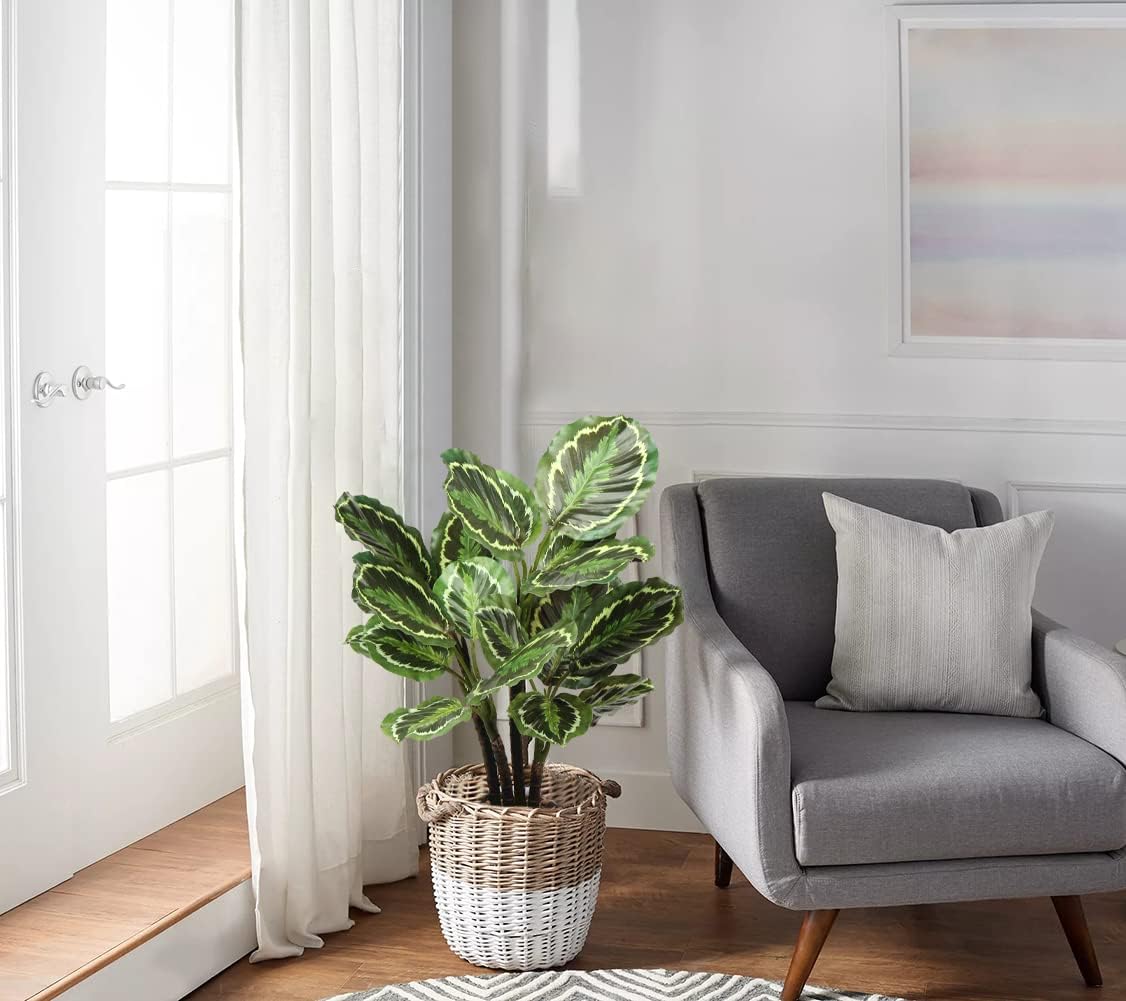 Briful 248 In Artificial Calathea Plant