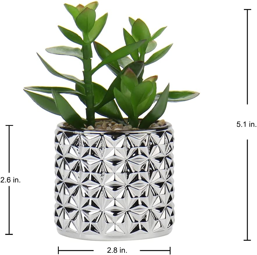 Briful Small Artificial Succulents with Silver Glass Pots 3 Pack