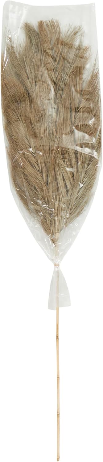 Deco 79 Dried Palm Leaf Decor Natural Foliage