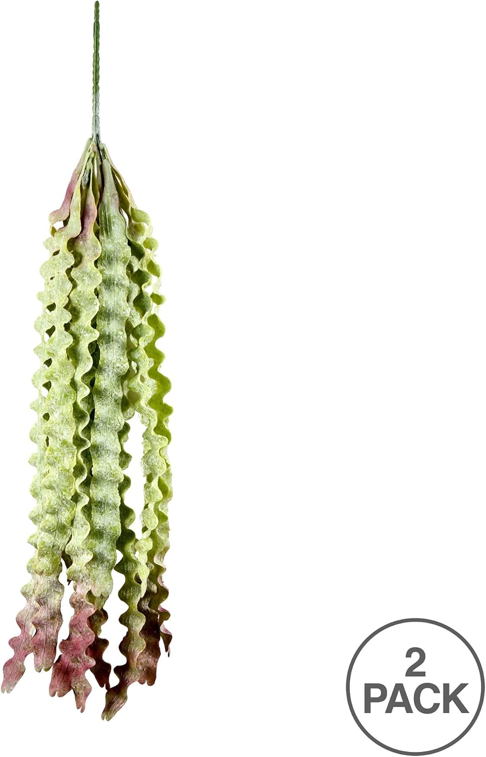 Vickerman Artificial Green Seatangle Plant 22 Inch 2 Pack