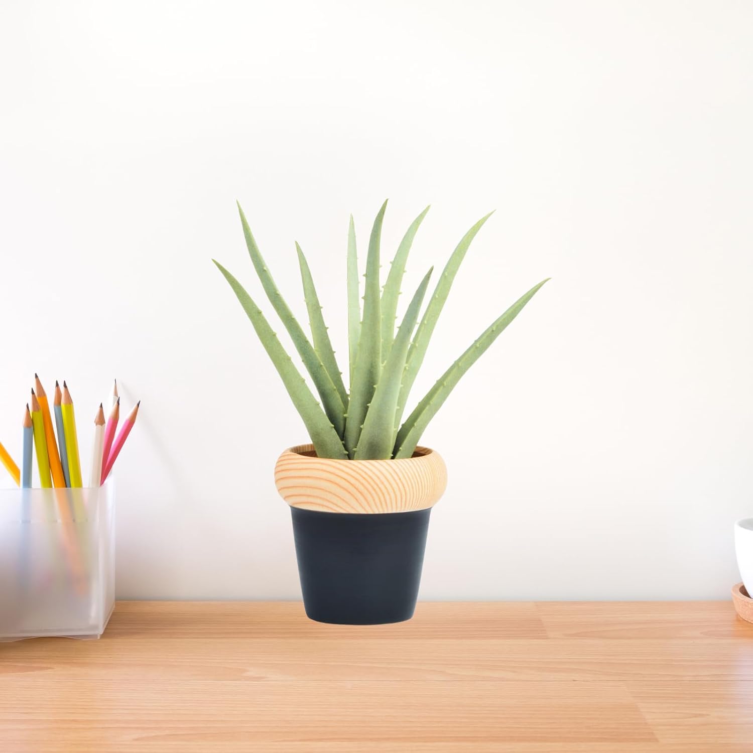 Artificial Agave Plant in Decorative Pot
