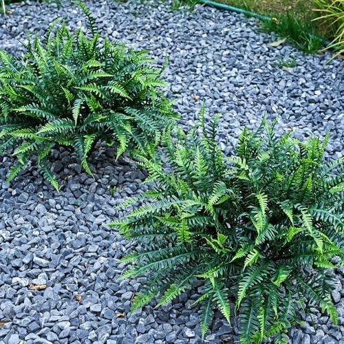 Alyptus UV Resistant Artificial Ferns 16 Bundles