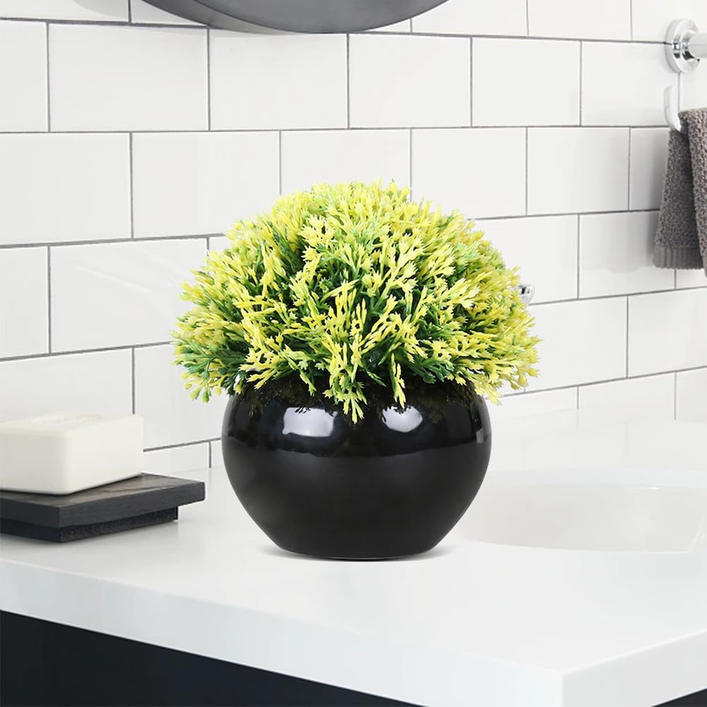 Small Potted Boxwood Topiary with Black Ceramic Pot