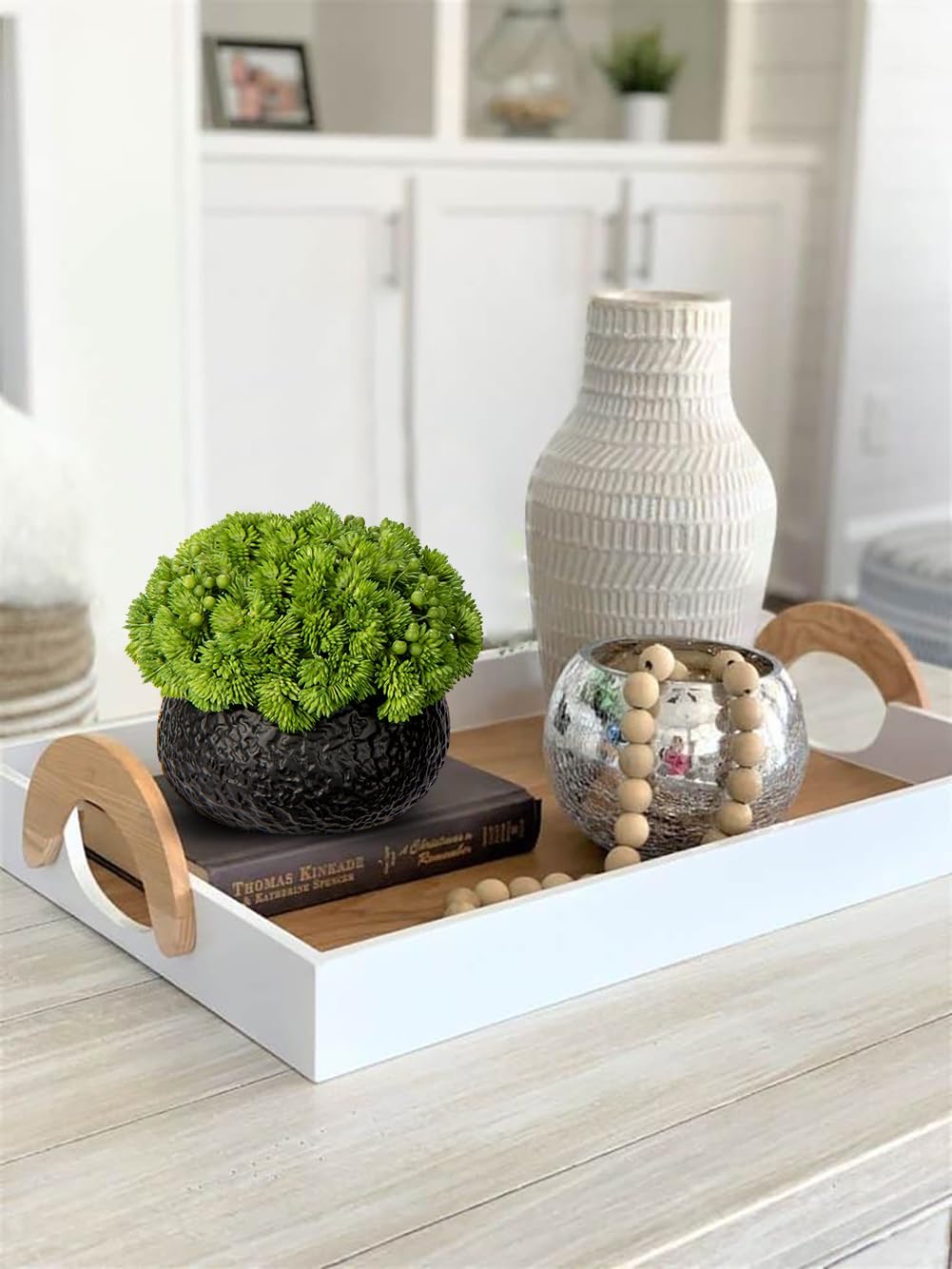 Briful Artificial Succulents in Black Ceramic Pots