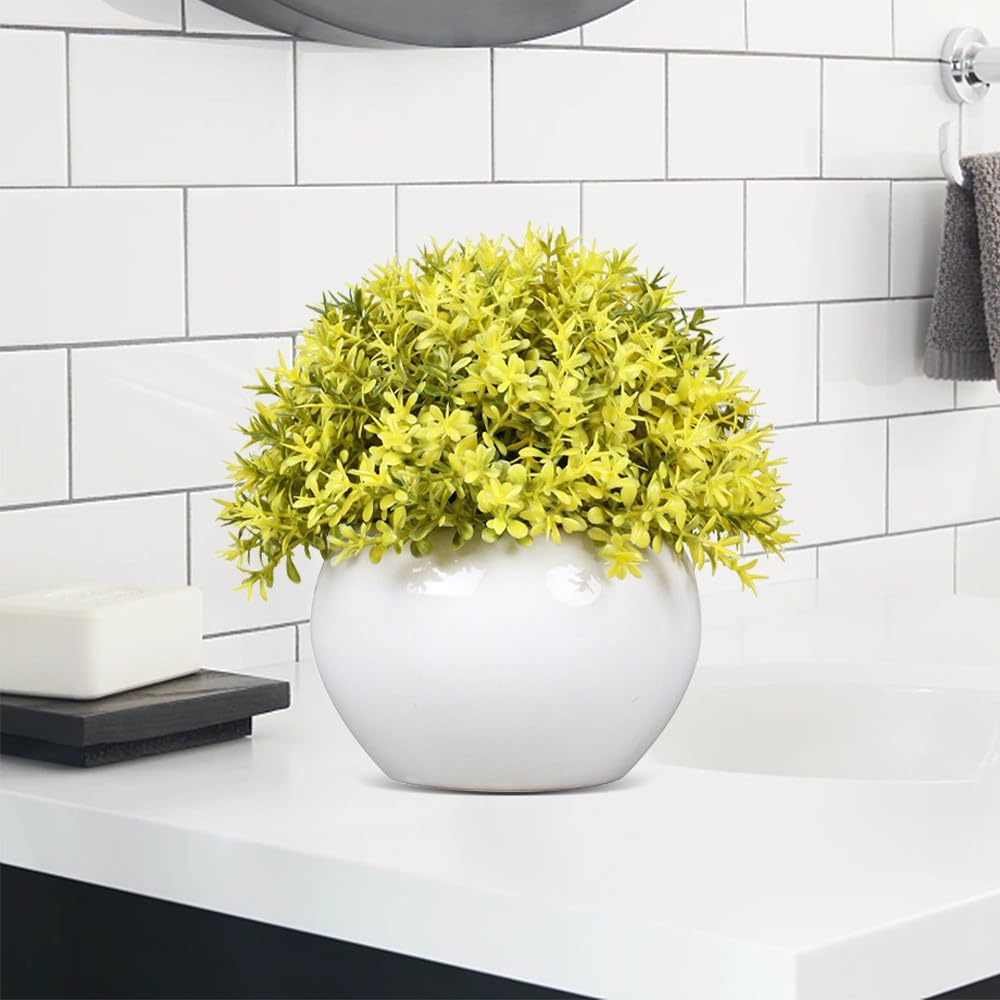 Small Green Potted Boxwood Topiary with Ceramic Pot