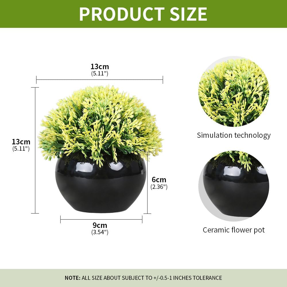 Small Potted Boxwood Topiary with Black Ceramic Pot