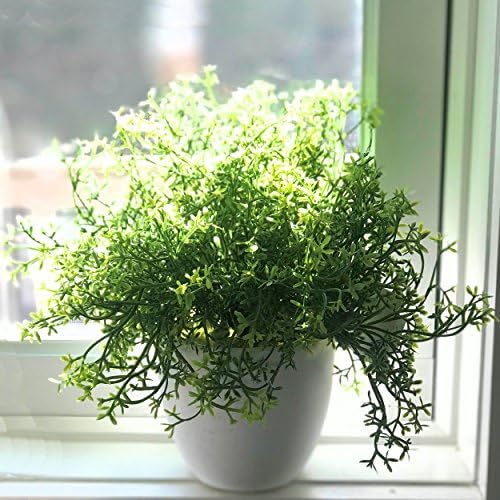 WHW Realistic Faux Baby Thyme Plant 6 x 975 Tall