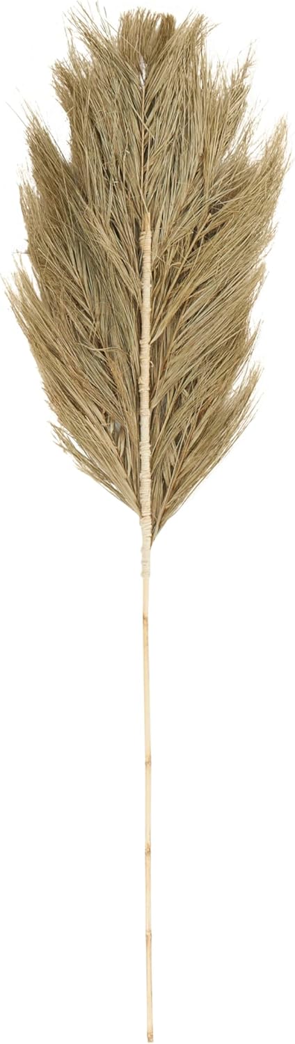 Deco 79 Dried Palm Leaf Decor Natural Foliage
