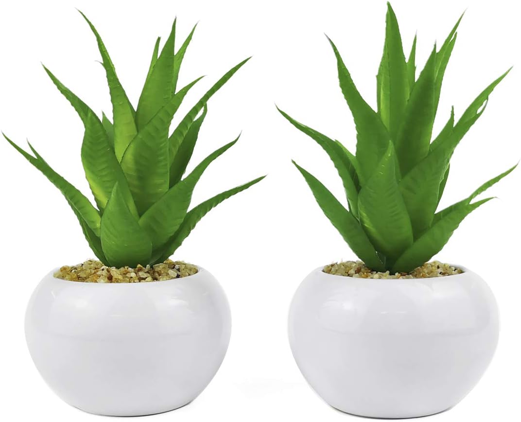 TUOKOR Artificial Aloe Plants in Ceramic Pots 2 Pack