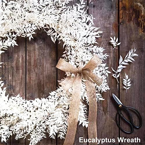 5Pcs Dried White Eucalyptus Ruscus for Wedding Vase Decor