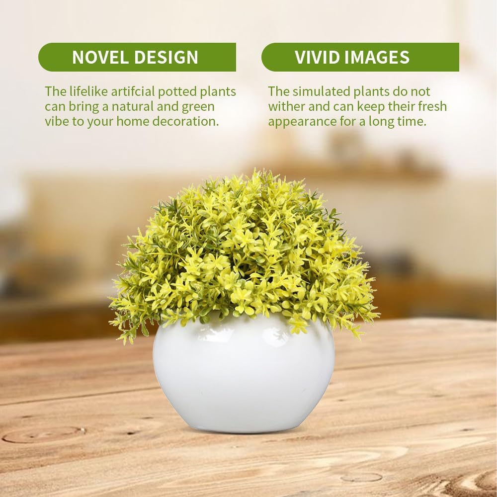 Small Green Potted Boxwood Topiary with Ceramic Pot