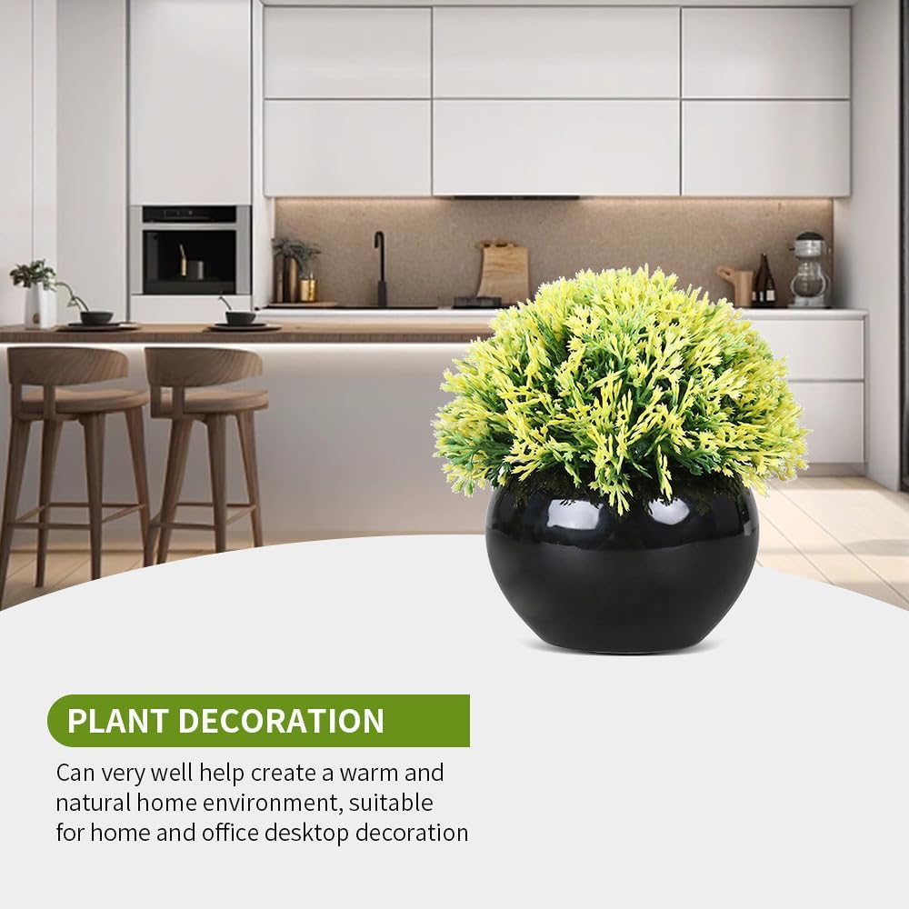 Small Potted Boxwood Topiary with Black Ceramic Pot