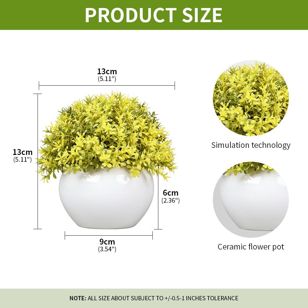 Small Green Potted Boxwood Topiary with Ceramic Pot