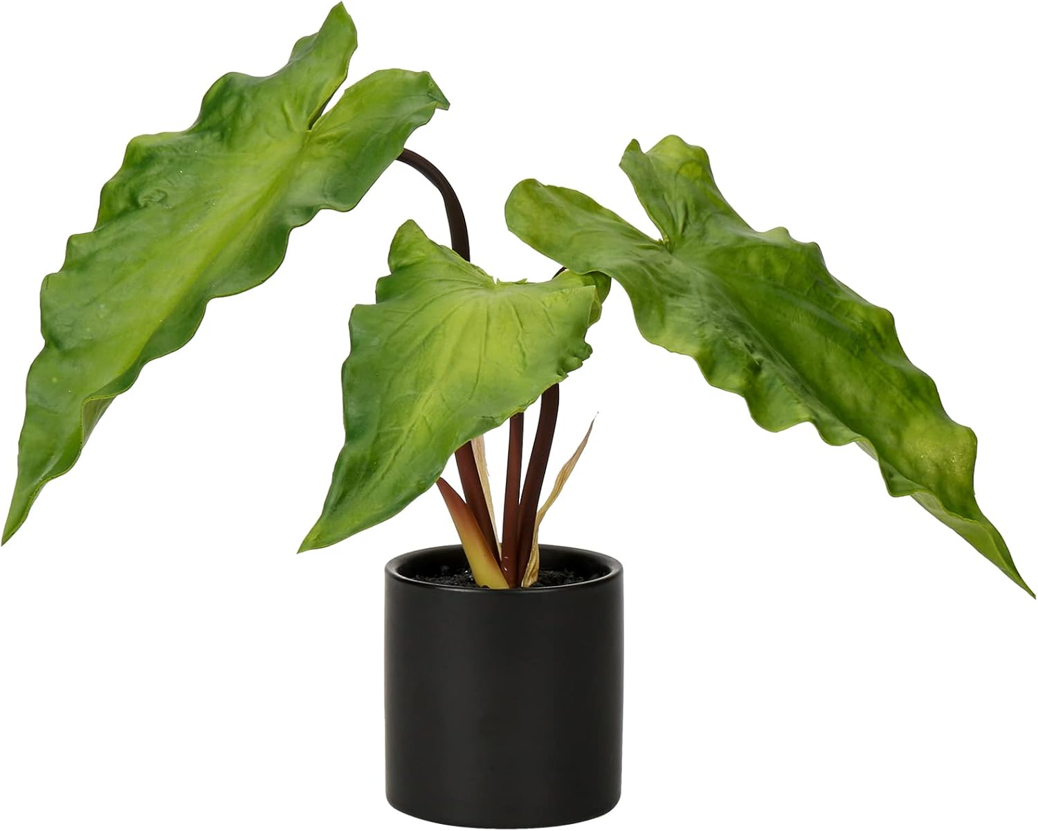Hollyone Realistic Fake Caladium Plants in Black Ceramic Pots
