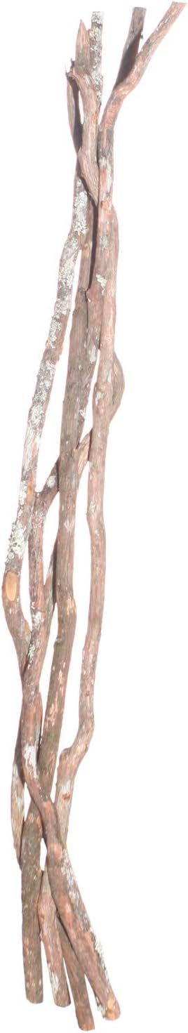 Vickerman Natural Dragonwood Pole Set for Home Decor