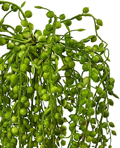 Nearly Natural Senecio Artificial Succulent Plant Set of 3