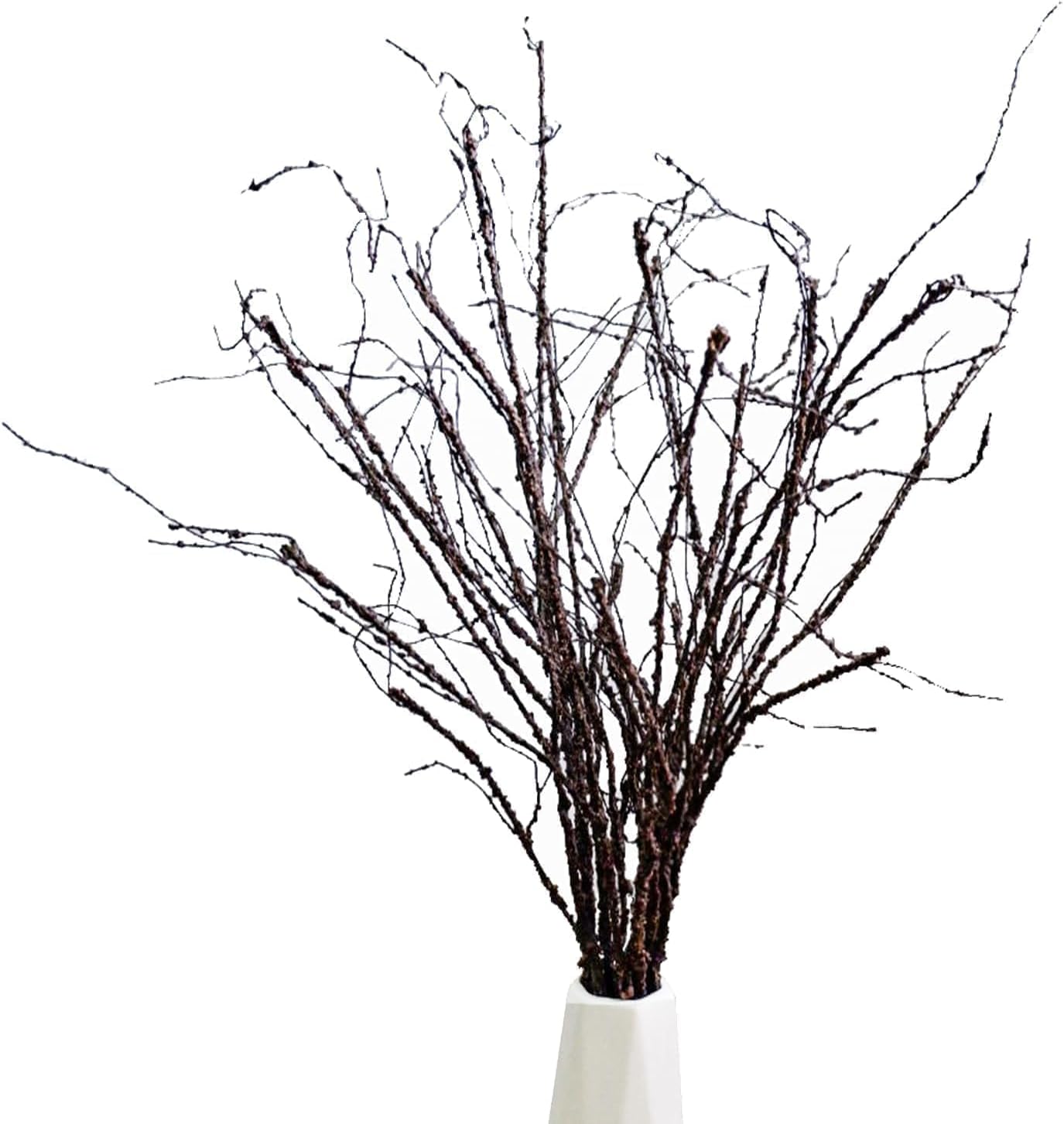 Eiyye 10PCS Curly Willow Branches Artificial Decor