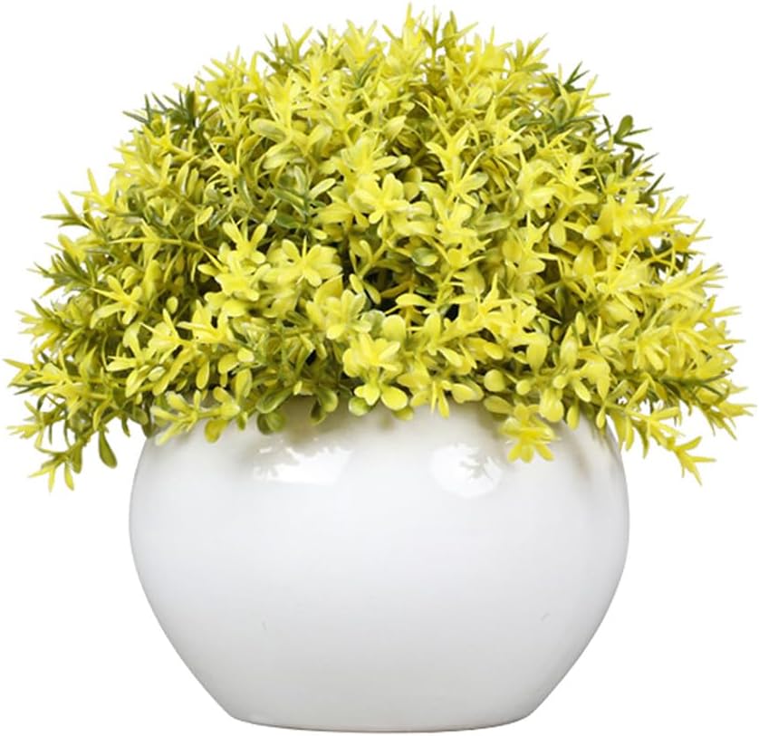 Small Green Potted Boxwood Topiary with Ceramic Pot