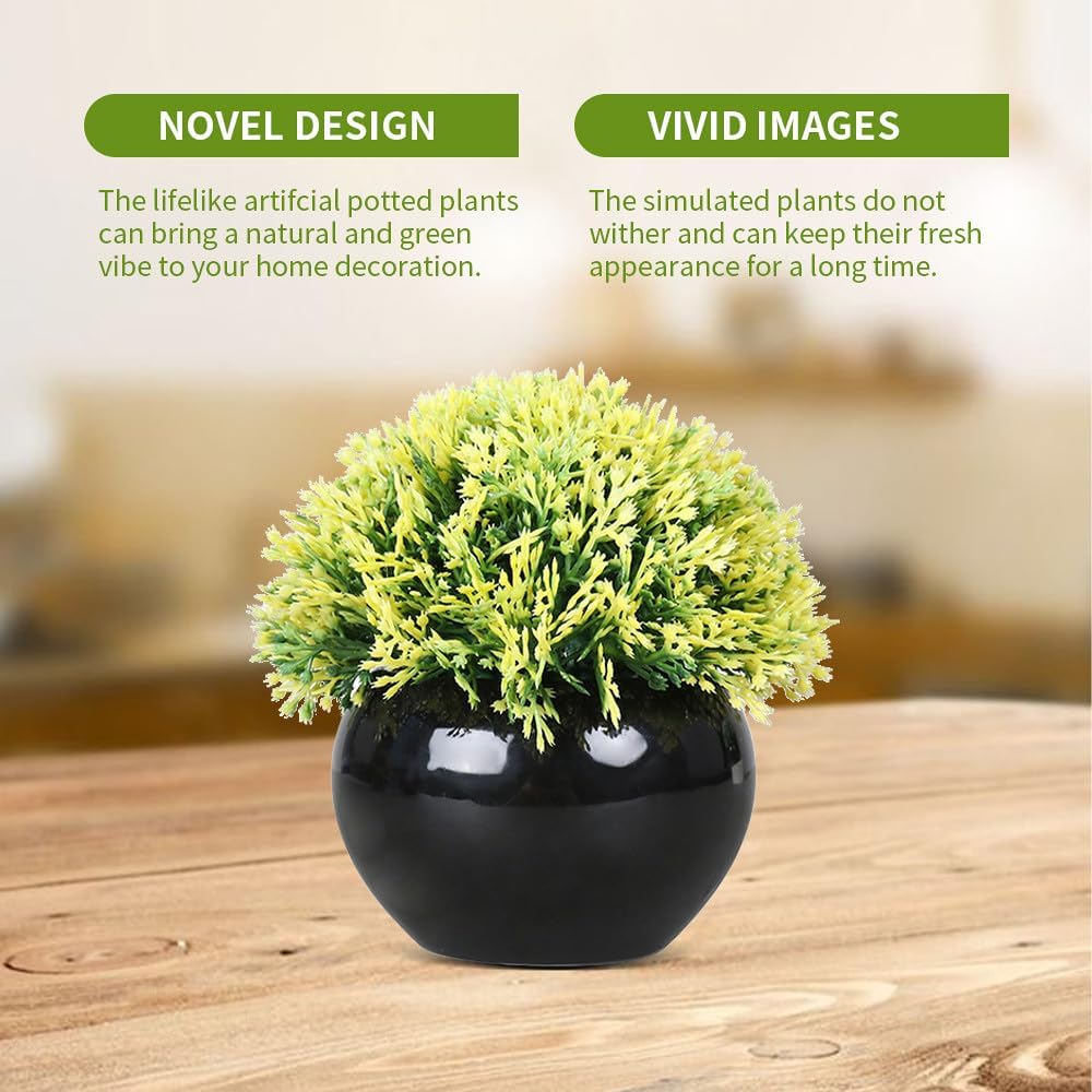 Small Potted Boxwood Topiary with Black Ceramic Pot