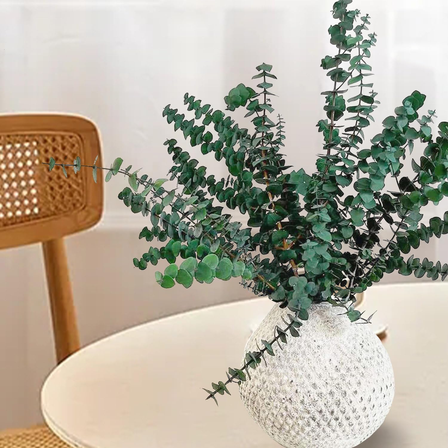 EOBTAIN Dried Eucalyptus Stems for Decor