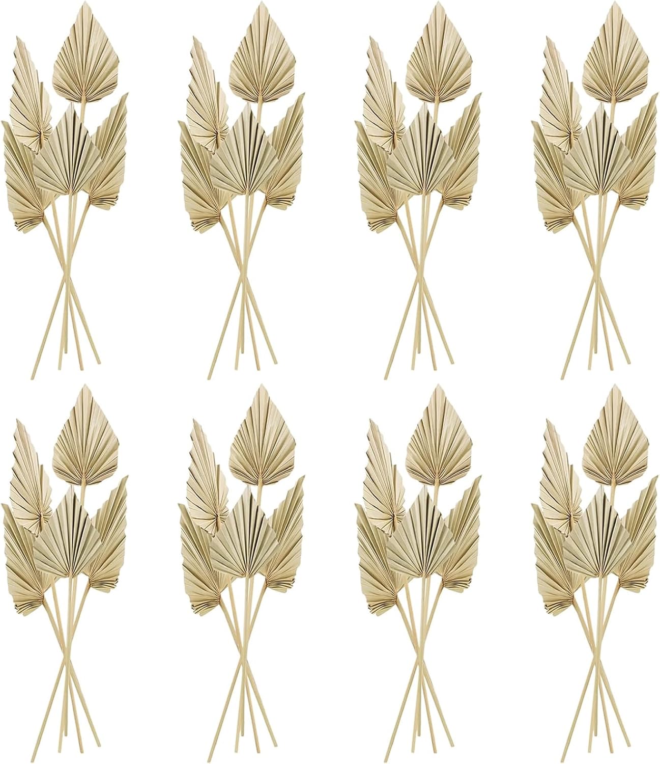 Cenkaiyang 40 Pcs Boho Dried Palm Spears Leaves Decor