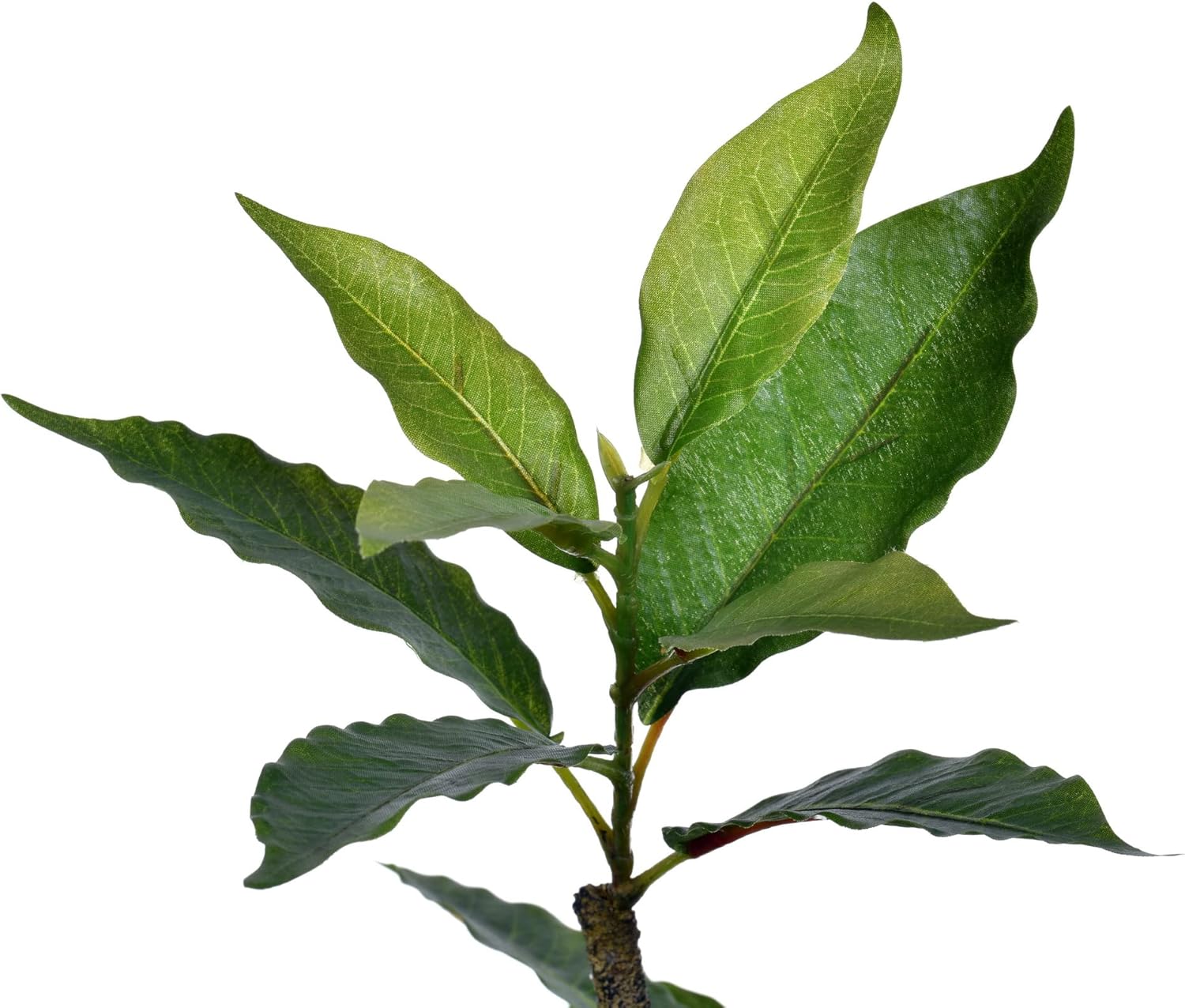 Vickerman 6 Foot Realistic Artificial Nandina Tree with 284 Leaves