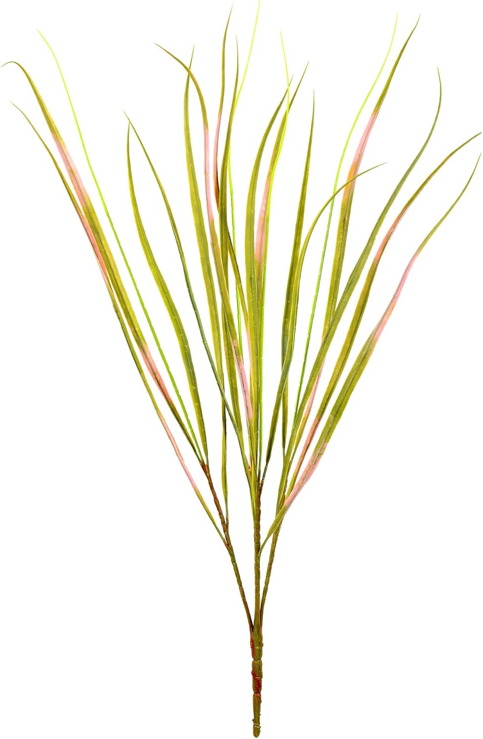 Vickerman 29 Inch Artificial Dracena Marginata Bush
