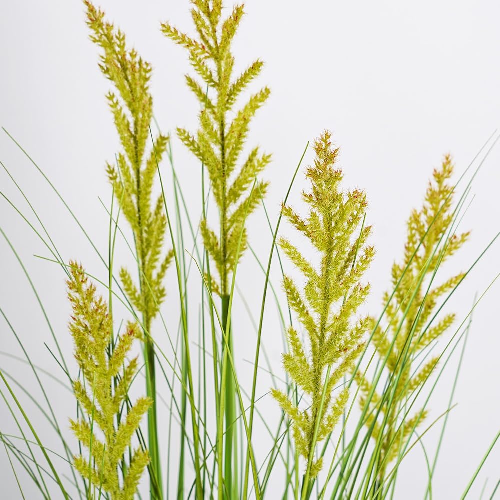 MelorcaGuilla 2Pack 49 Artificial Tall Grass