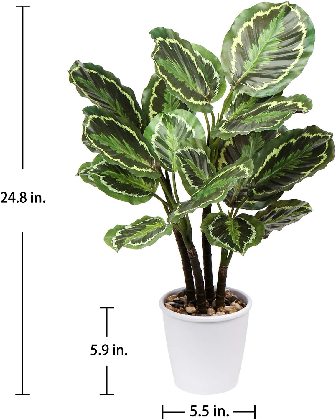 Briful 248 In Artificial Calathea Plant