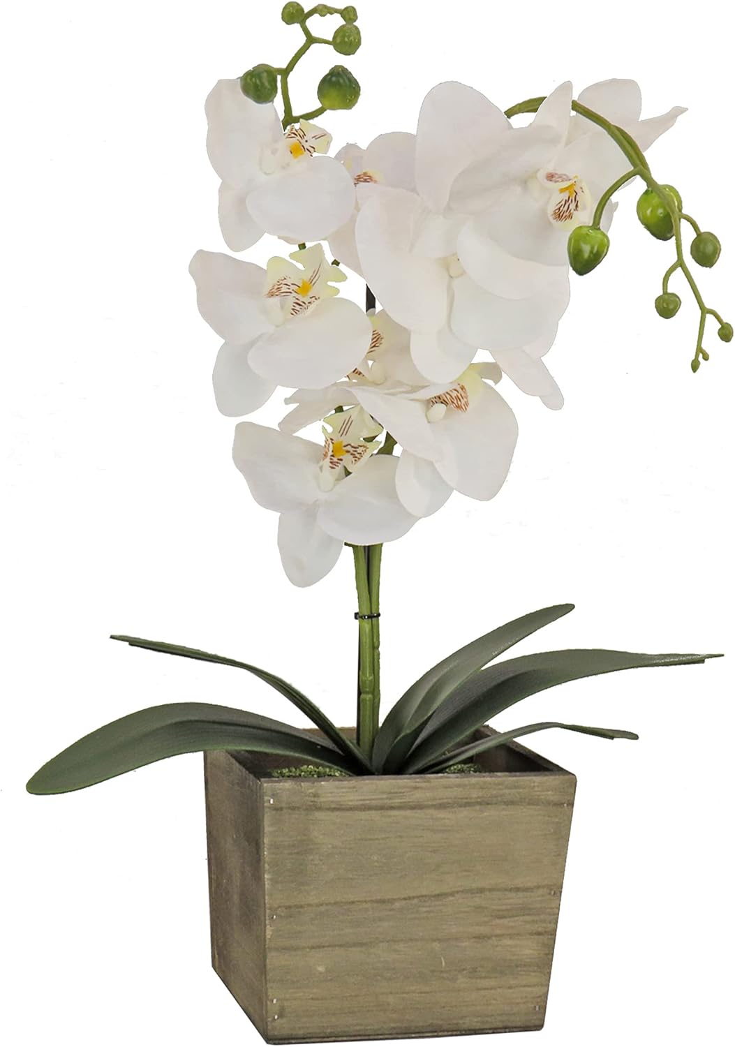 National Tree Company Artificial Orchid Bouquet White 21 Inches