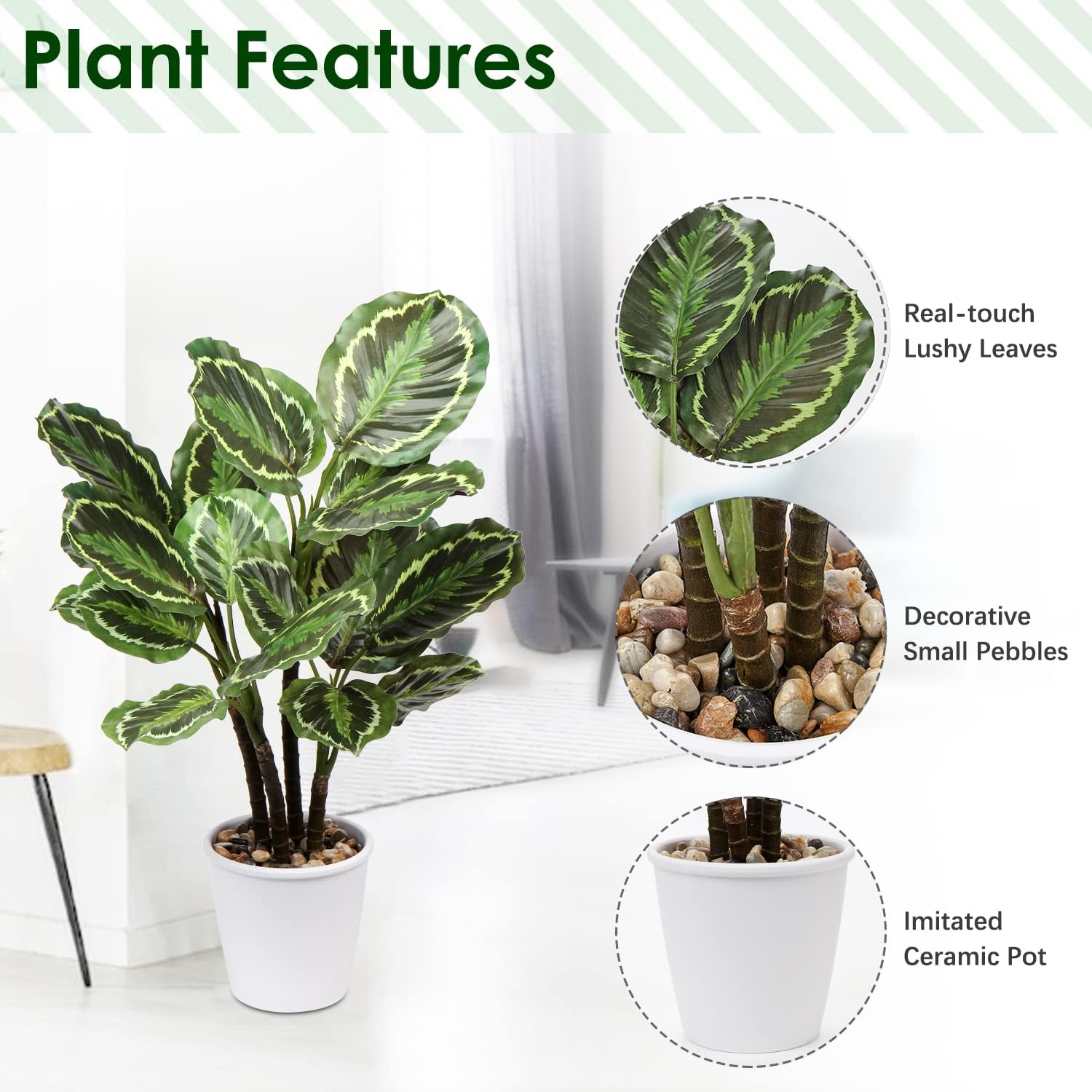 Briful 248 In Artificial Calathea Plant