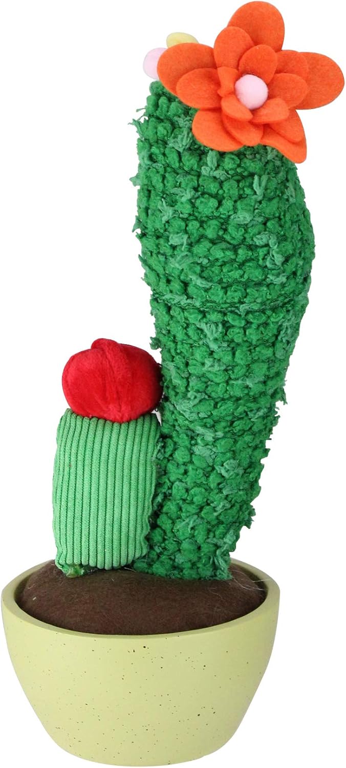Northlight 12 Inch Green Potted Mixed Artificial Cactus Plant