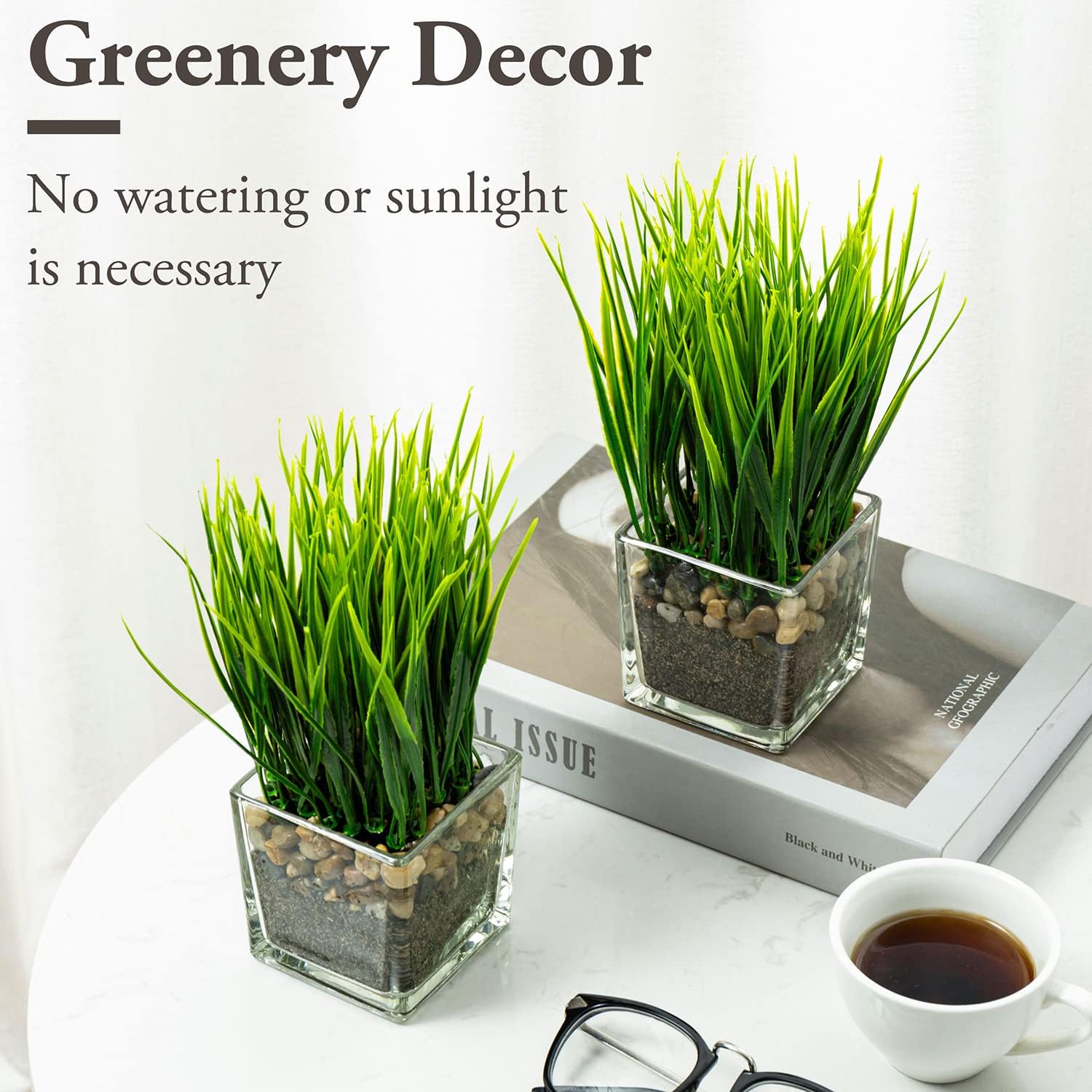 MyGift Artificial Grass Plants in Square Clear Glass Pots Set of 2