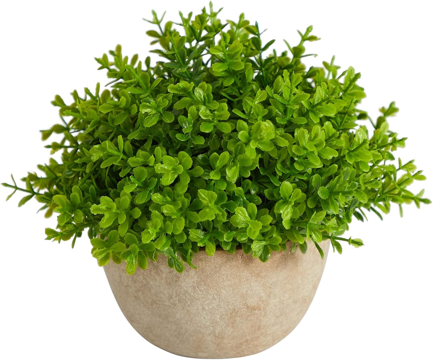 Nearly Natural 5in Boxwood Artificial Plant in Decorative Planter