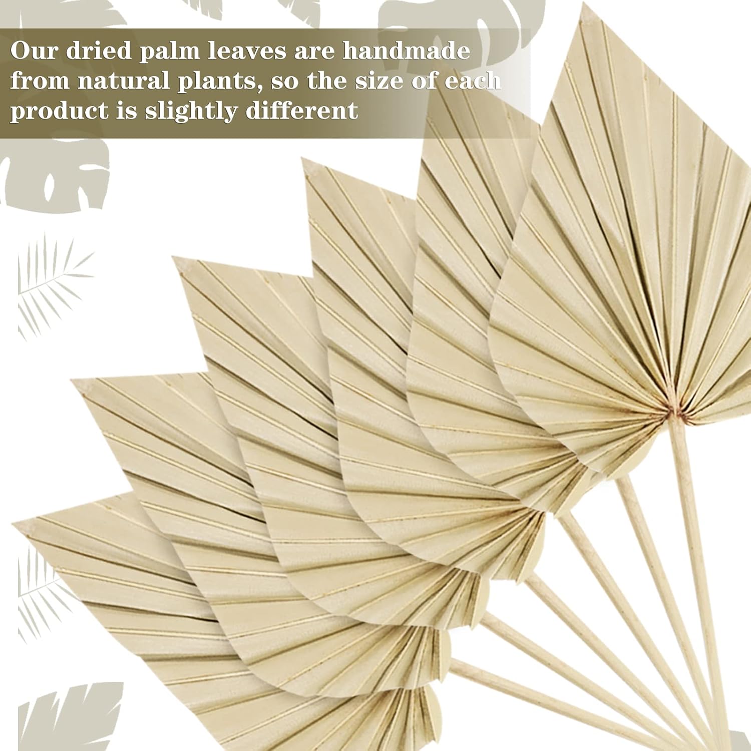 Cenkaiyang 40 Pcs Boho Dried Palm Spears Leaves Decor
