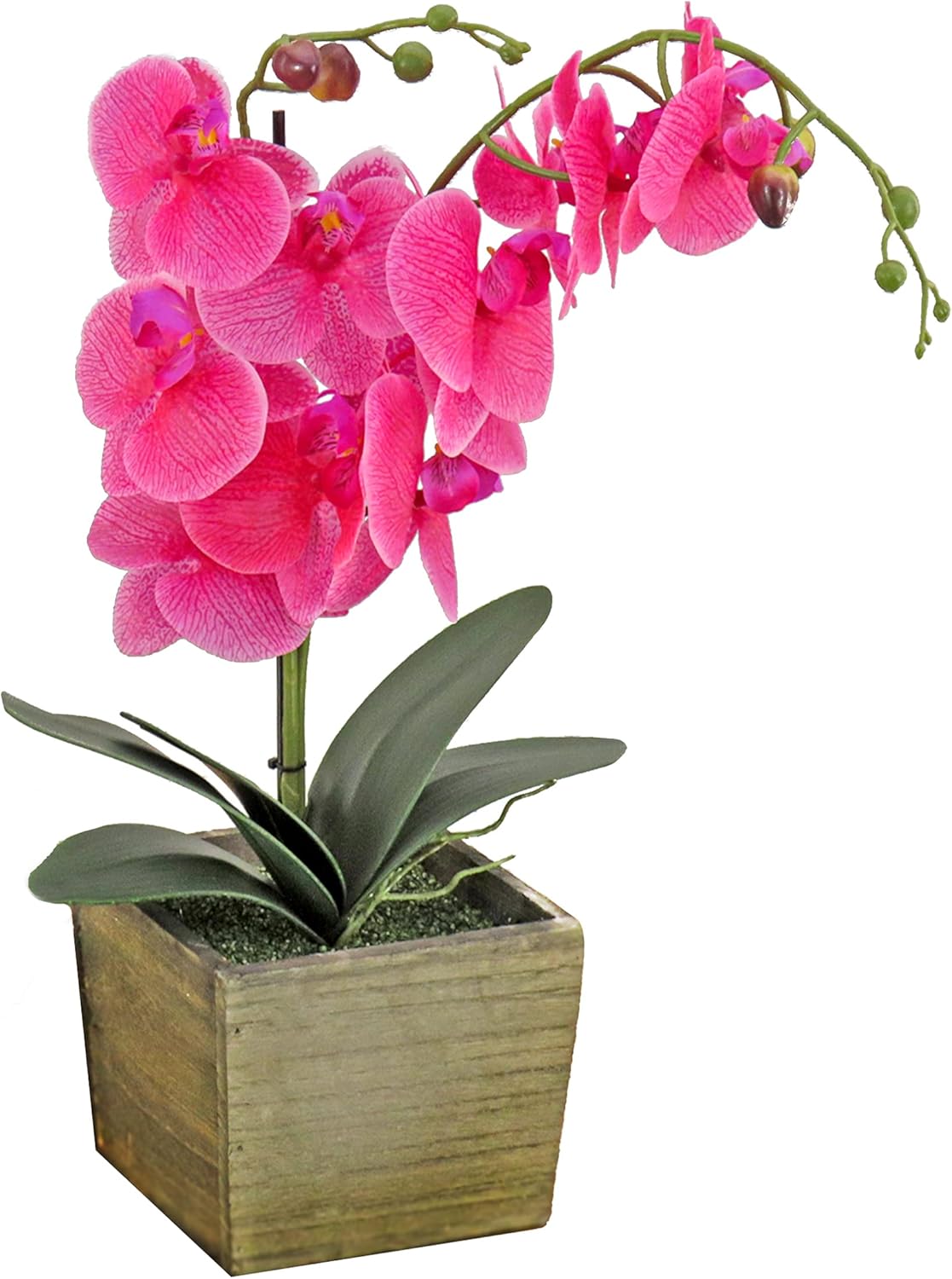 National Tree Company Artificial Orchid Bouquet with Wood Box