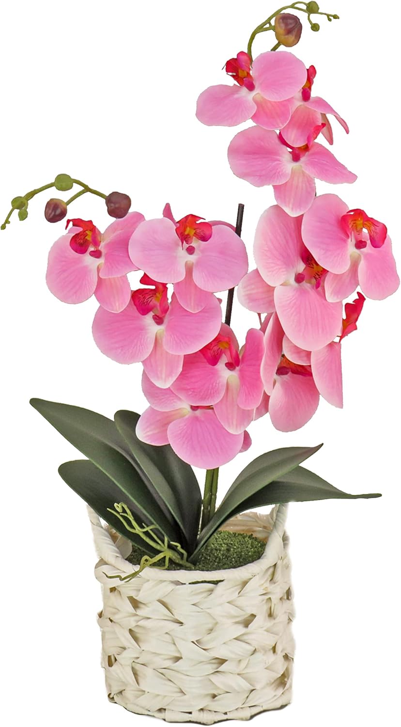 National Tree Company Artificial Orchid Bouquet with Basket 1