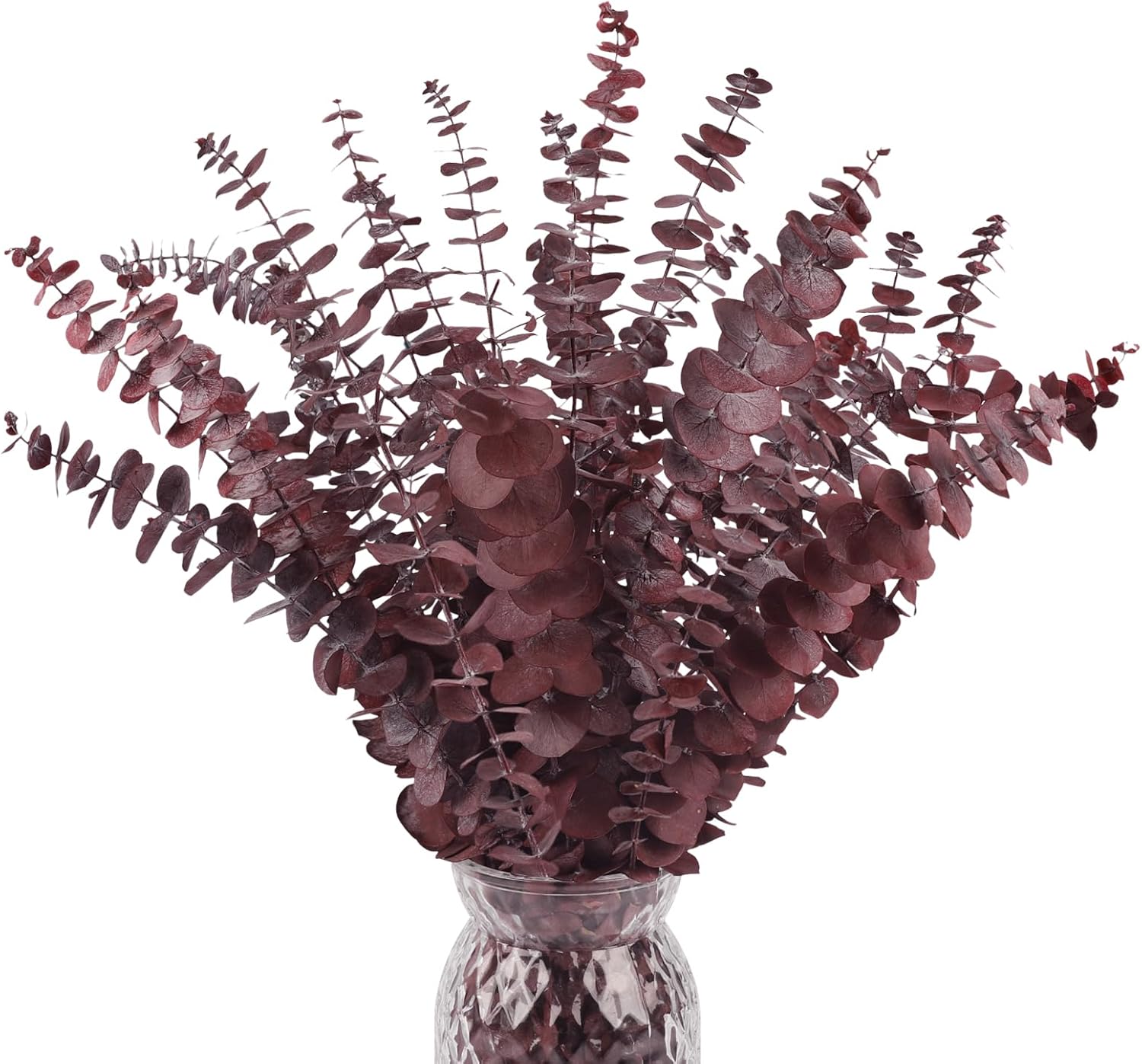 HIAGROW Dried Eucalyptus Stems Red 20pcs for Vase