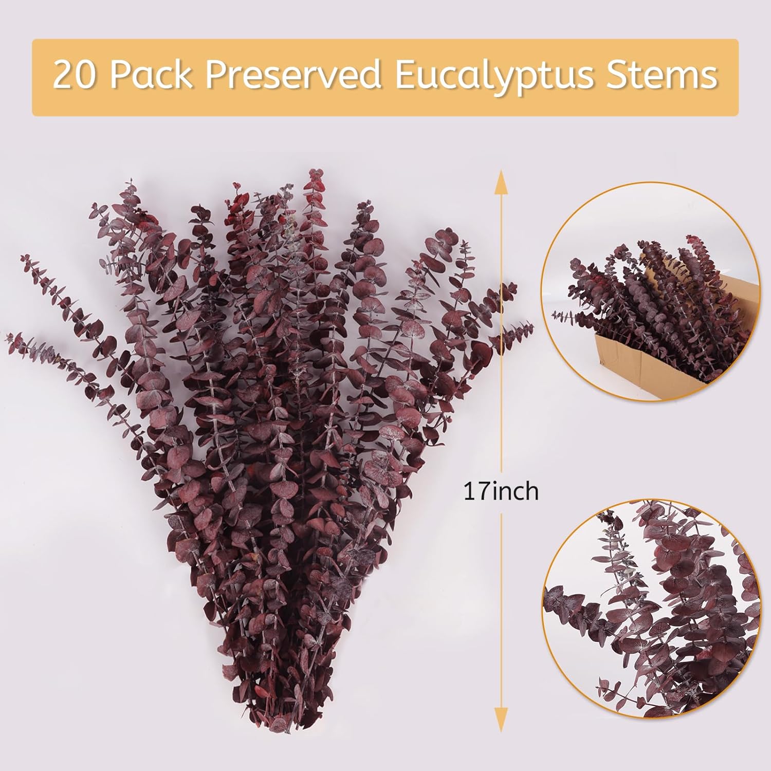 HIAGROW Dried Eucalyptus Stems Red 20pcs for Vase