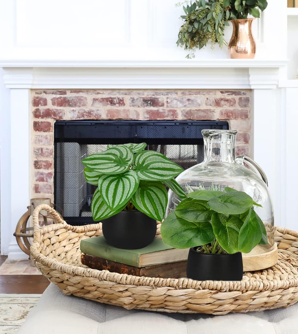 Briful 3PCS Artificial Plants in Black Pots
