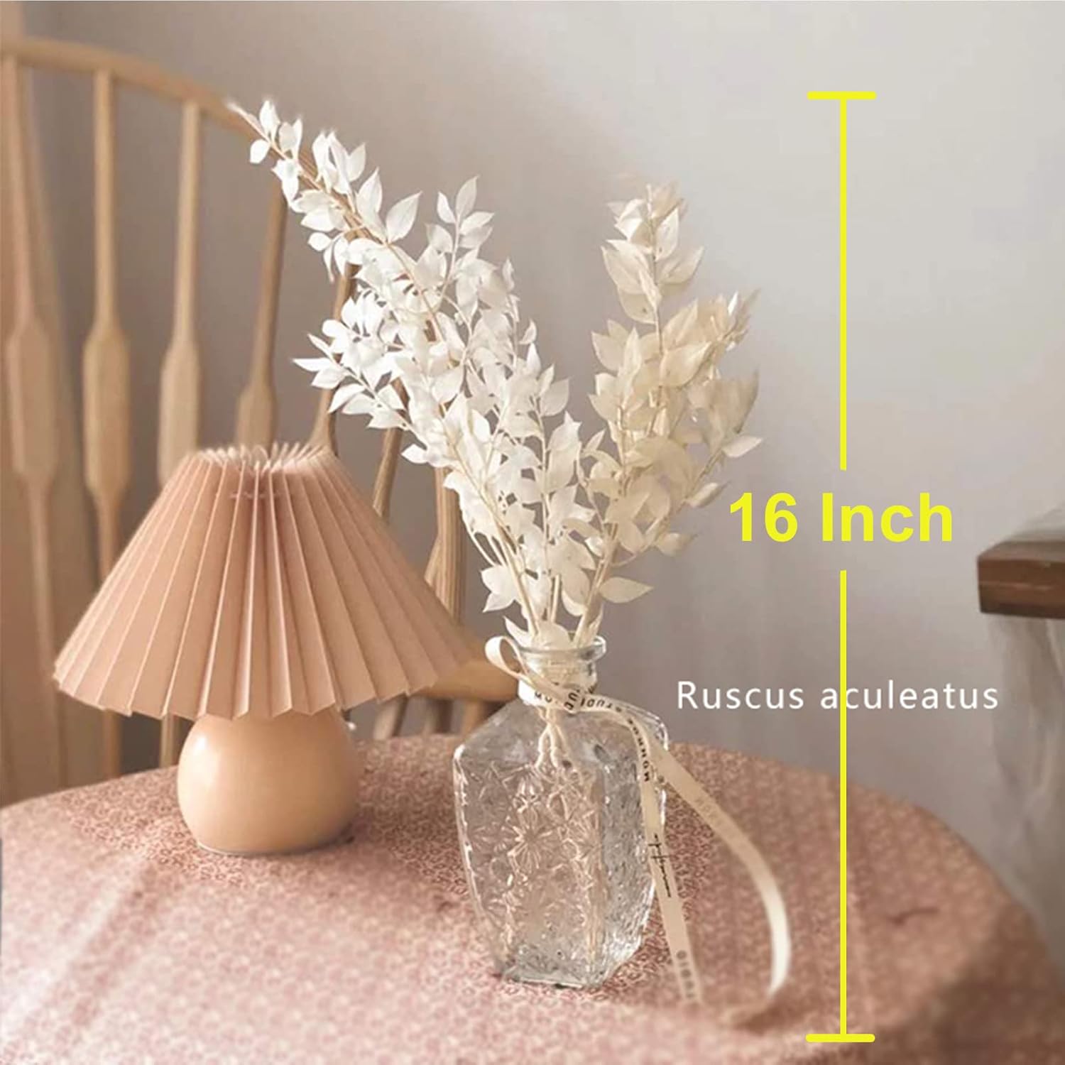5Pcs Dried White Eucalyptus Ruscus for Wedding Vase Decor