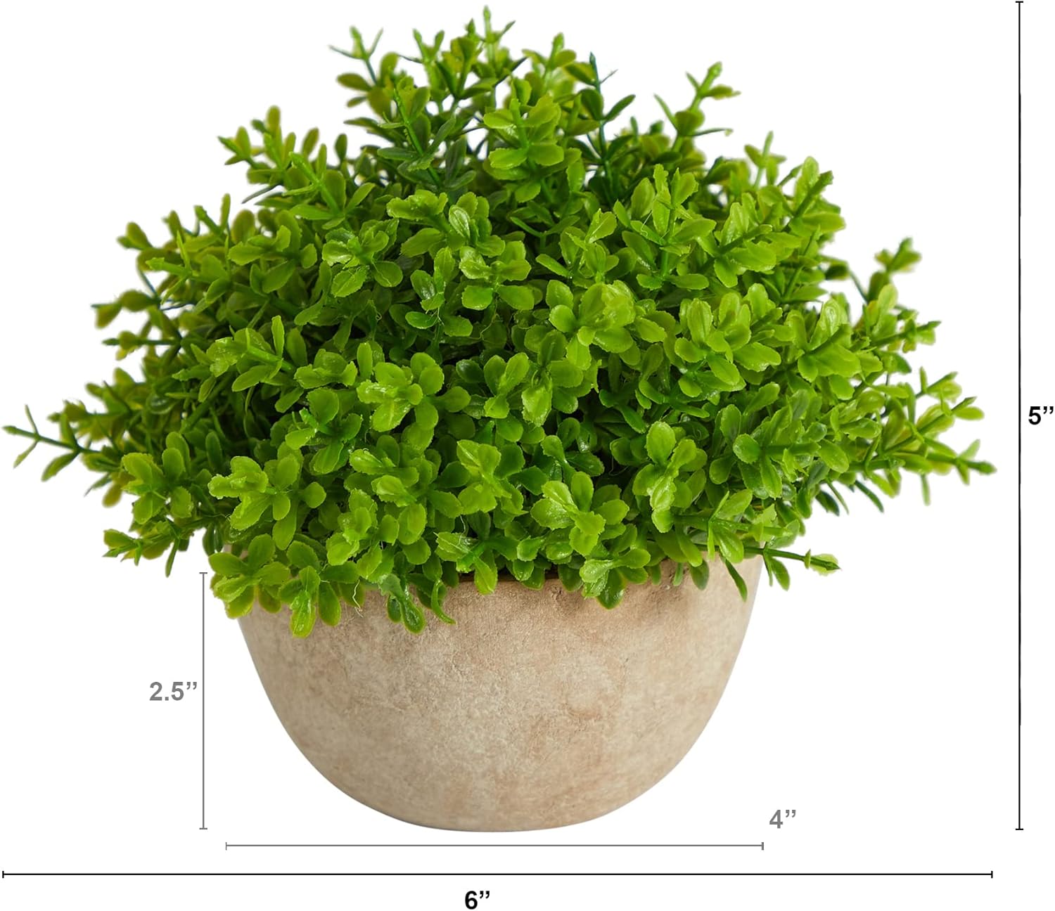 Nearly Natural 5in Boxwood Artificial Plant in Decorative Planter