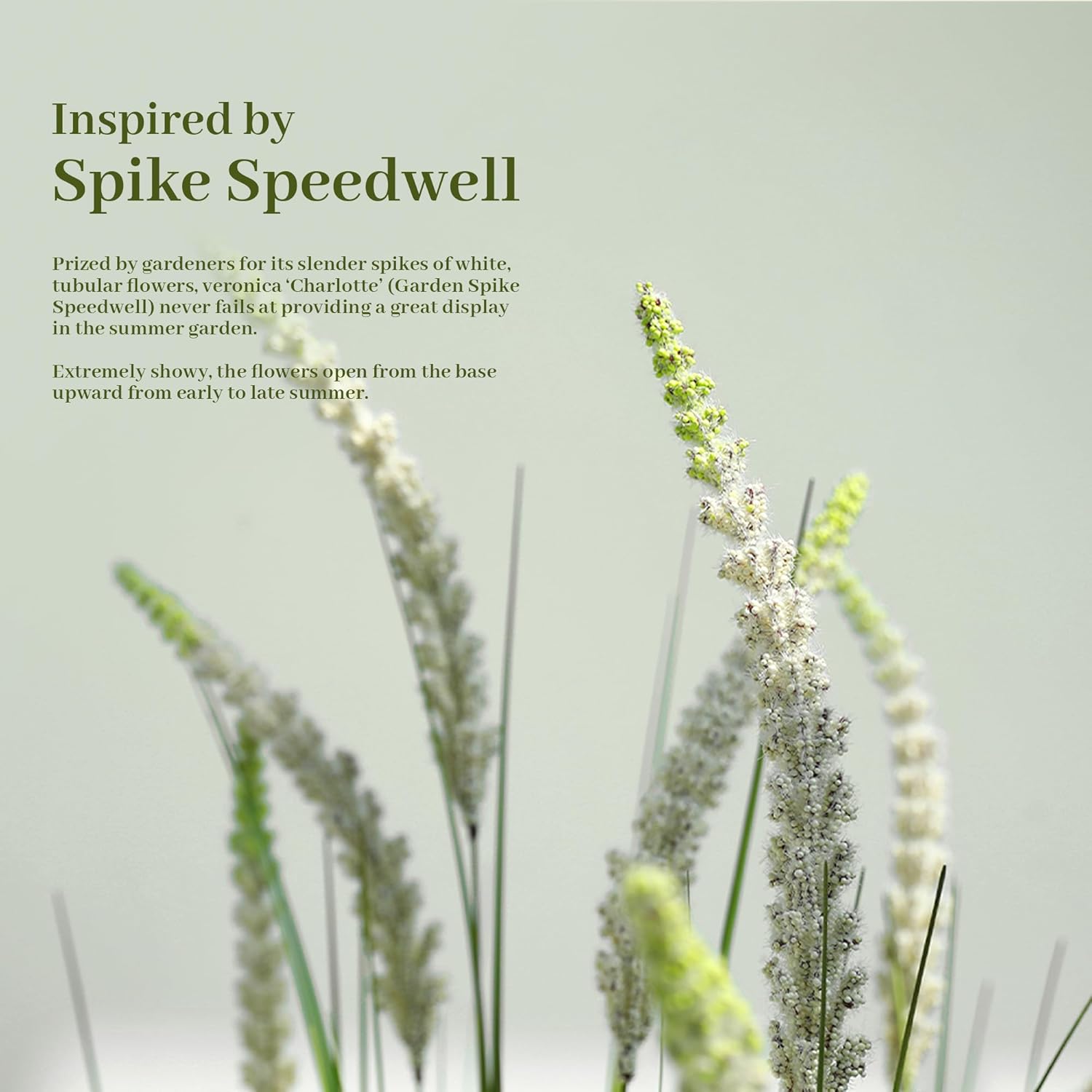 KOL 4ft Artificial Veronica Spiked Speedwell Grass