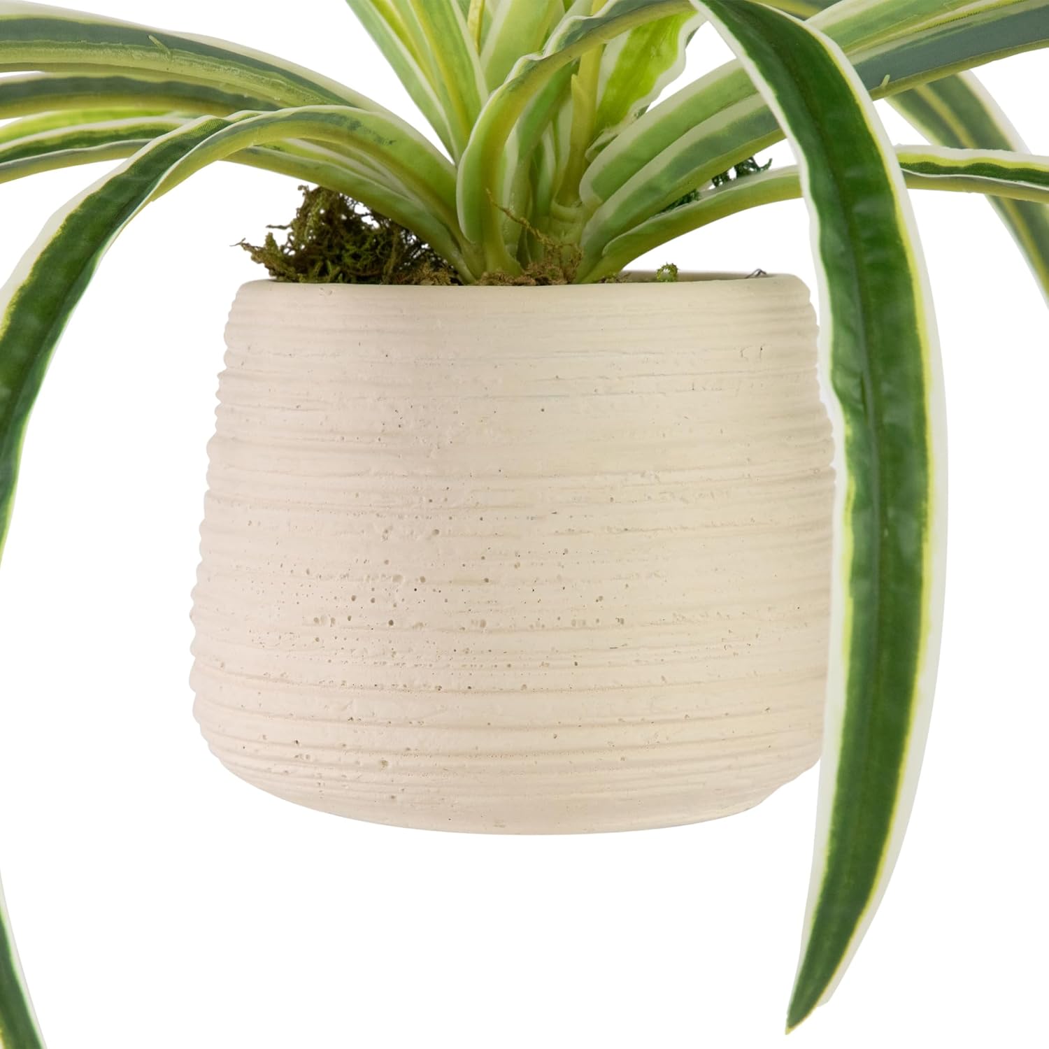 Northlight Artificial Spider Plant in Beige Ceramic Pot 20 Inch