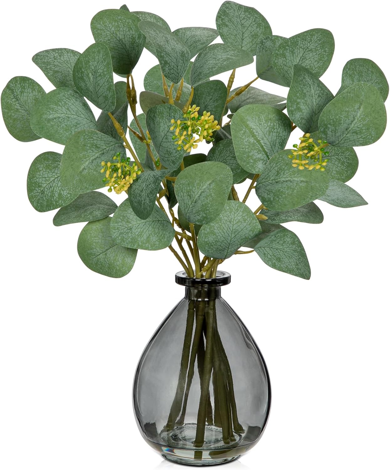 DILATATA Artificial Eucalyptus Stems in Glass Vase with Faux Water